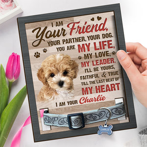 Custom Photo Friendship Survives Death - Memorial Personalized Custom Pet Loss Sign, Collar Frame With Stand - Sympathy Gift, Gift For Pet Owners, Pet Lovers