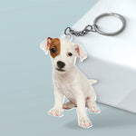 Custom Pet Photo Dog Gifts - Personalized Acrylic Keychain