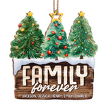 Custom Name Christmas Family Gifts - Personalized Ornament