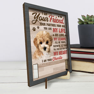 Custom Photo Friendship Survives Death - Memorial Personalized Custom Pet Loss Sign, Collar Frame With Stand - Sympathy Gift, Gift For Pet Owners, Pet Lovers