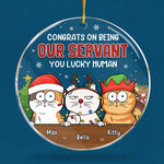 Custom Name Funny Christmas Cat Gifts - Personalized Ornament