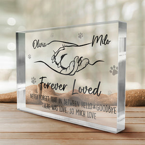 Goodbyes Are Not Forever, Goodbyes Are Not The End - Memorial Personalized Custom Rectangle Shaped Acrylic Plaque - Sympathy Gift, Gift For Pet Owners, Pet Lovers