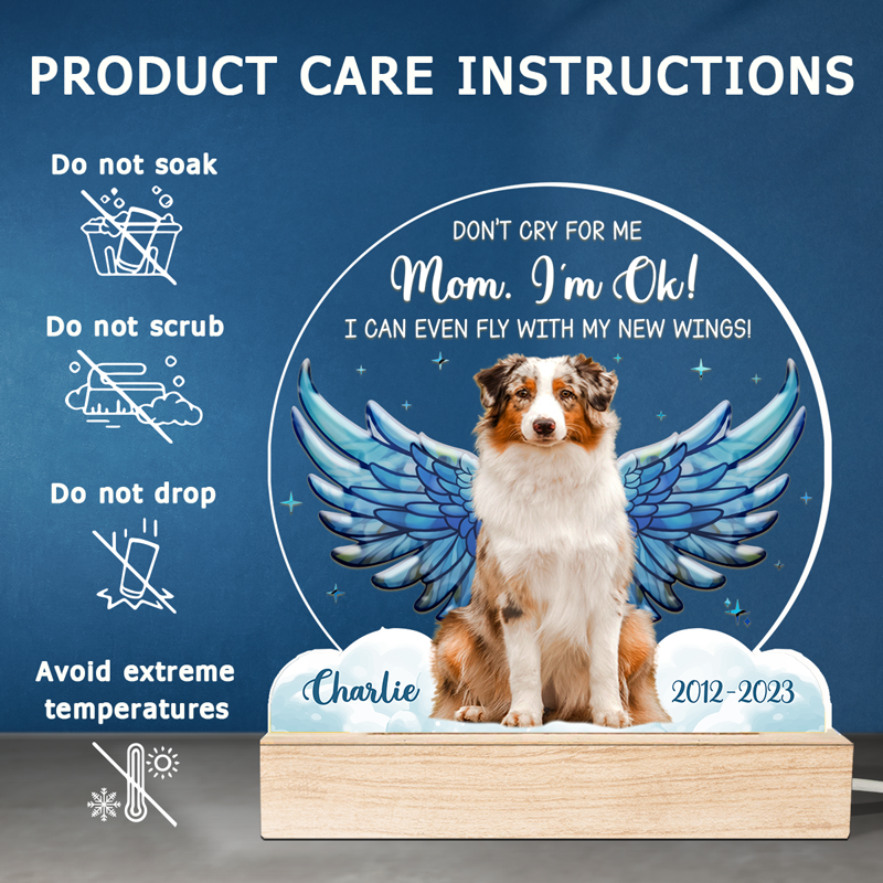 Custom Photo I Can Even Fly With My New Wings - Memorial Personalized Custom Shaped 3D LED Light - Sympathy Gift For Pet Owners, Pet Lovers