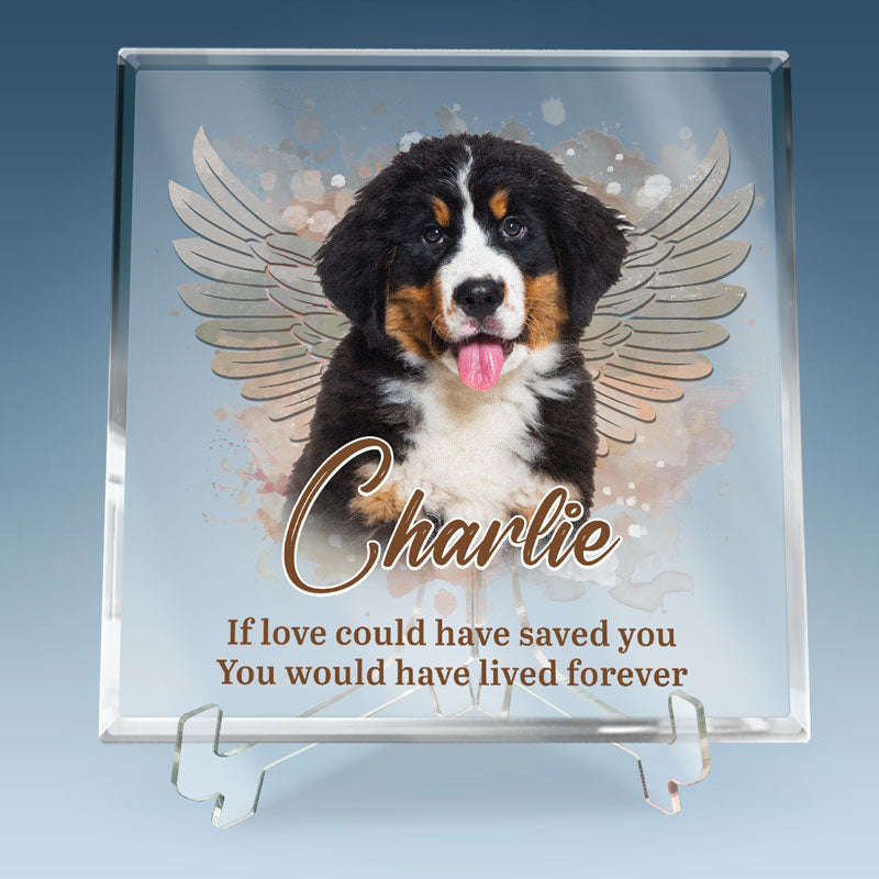Pets Teach Us The Purest Kind Of Love - Memorial Personalized Custom Square Shaped Acrylic Plaque - Sympathy Gift, Gift For Pet Owners, Pet Lovers