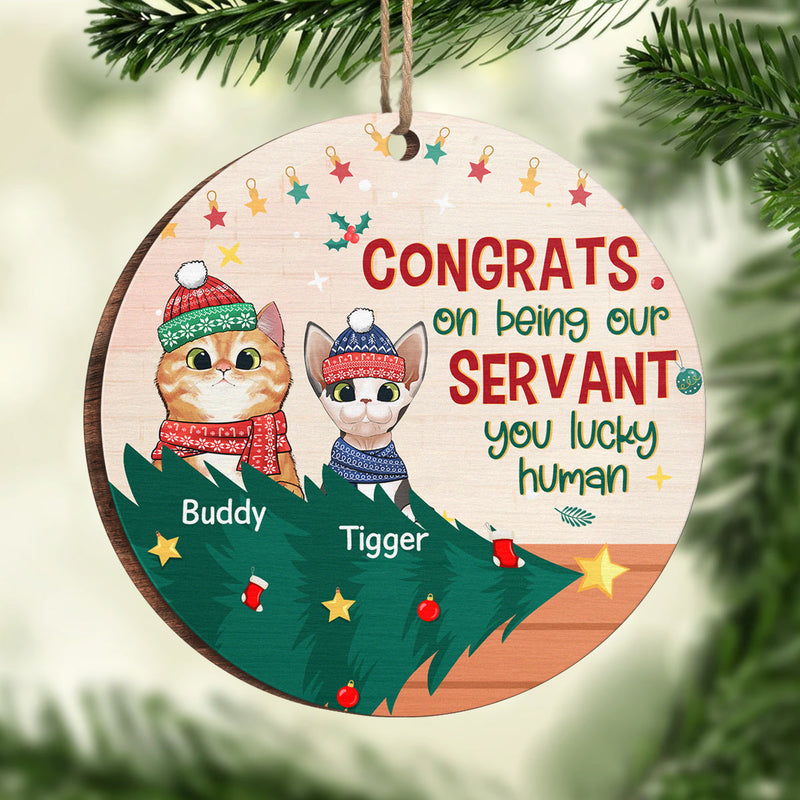 You Lucky Human - Dog & Cat Personalized Custom Ornament - Wood Round Shaped - Christmas Gift For Pet Owners, Pet Lovers