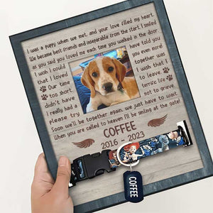 Pet collar outlet frame