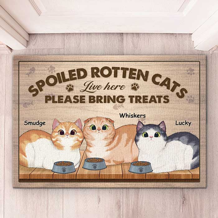 Beware, Spoiled Rotten Cats Live Here - Cat Personalized Custom Decorative Mat - Gift For Pet Owners, Pet Lovers