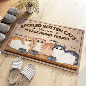 Beware, Spoiled Rotten Cats Live Here - Cat Personalized Custom Decorative Mat - Gift For Pet Owners, Pet Lovers