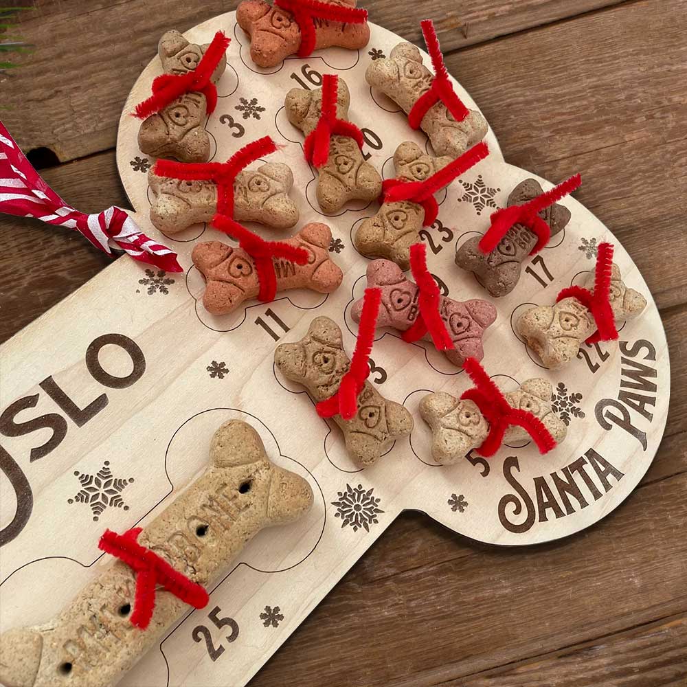 15 DIY Dog Christmas Gifts for Dogs & Dog Lovers