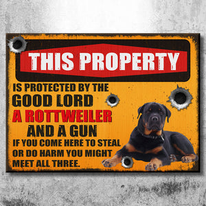Custom Dog Upload Image, This Property Is Protected - Gift For Dog Lovers, Personalized Metal Sign.