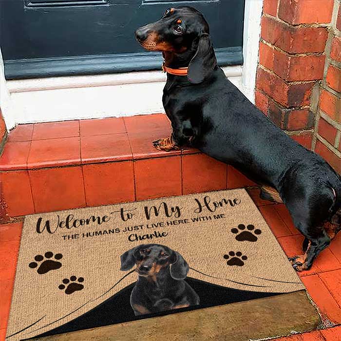 Funny Dog Doormat Dog Welcome Floor Mat Welcome Rug Shaggy Rug For Bedroom