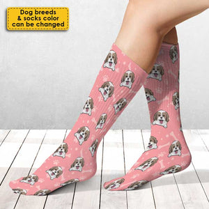 Colorful Paw, Gift for dog lovers - Personalized Socks.