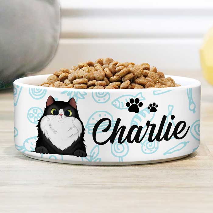 Food World Gift For Cat Lovers Personalized Custom Ceramic Cat Bowl Pawfect House