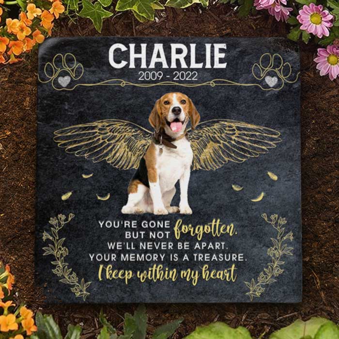 You're Gone But Not Forgotten - Personalized Memorial Stone, Pet Grave Marker - Upload Image, Memorial Gift, Sympathy Gift