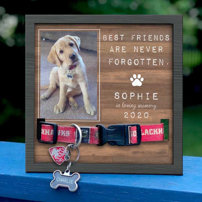 29 Custom Gifts Pet Owners Will Love *Almost* As Much As Their Pets