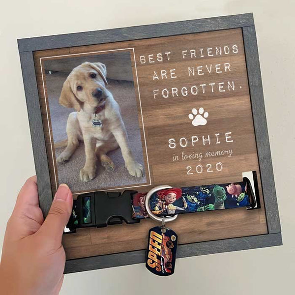 Best Friends Are Never Forgotten - Pet Memorial Custom Picture Frame –  Sunny Box