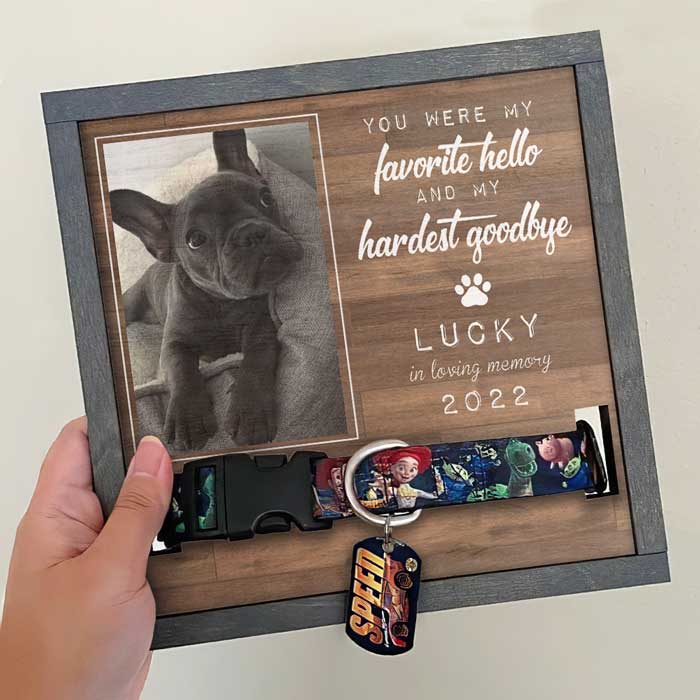 Favorite Hello Hardest Goodbye Dog Keychain Personalized Pet 