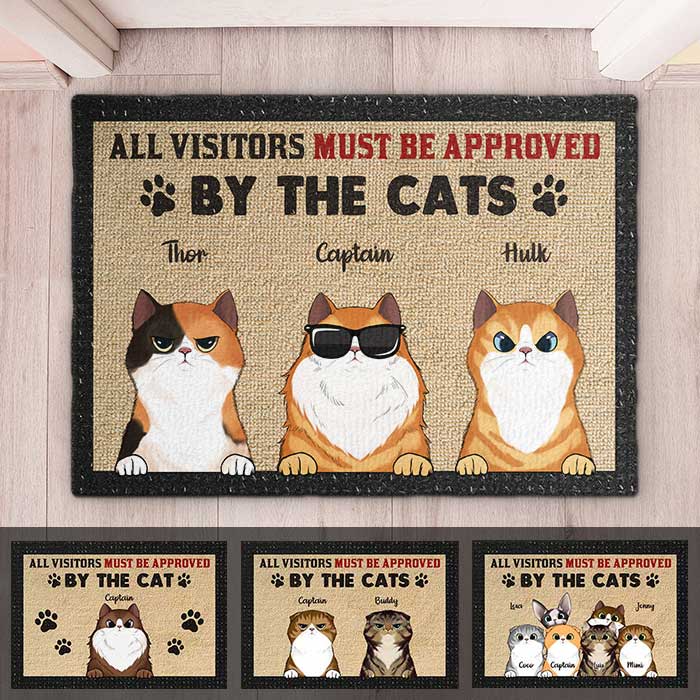 Keep In Mind When Visiting The House Cartoon Cat Welcome Doormats