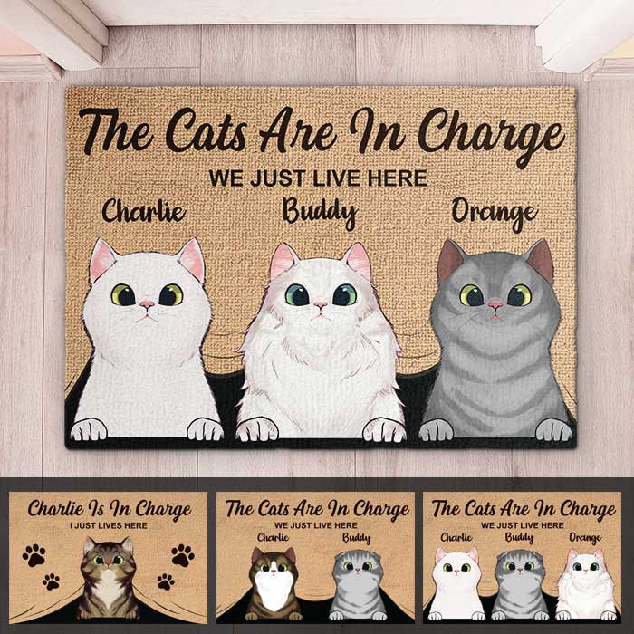The Cats Are In Charge - Personalized Decorative Mat.