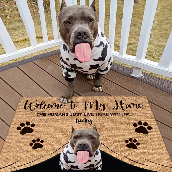 Pawfect House-Welcome to The Dog Home - Personalized Door Mats for Front  Door, Dog Doormat, Welcome Mat Funny, Welcome Home Gifts, Funny  Personalized