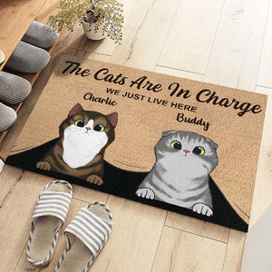 The Cats Are In Charge - Personalized Decorative Mat.