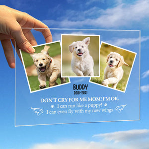 Don't Cry For Me Mom! I’m Ok - Upload Image - Personalized Acrylic Plaque.