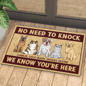 We Know You're Here, Dogs And Cats - Personalized Decorative Mat.