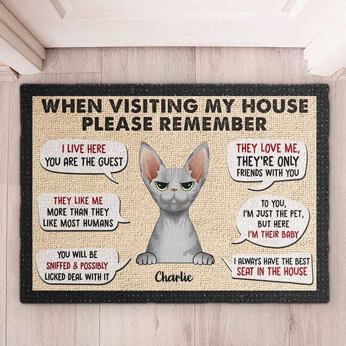 Remember These Rules When Visiting Our House - Personalized Decorative Mat.