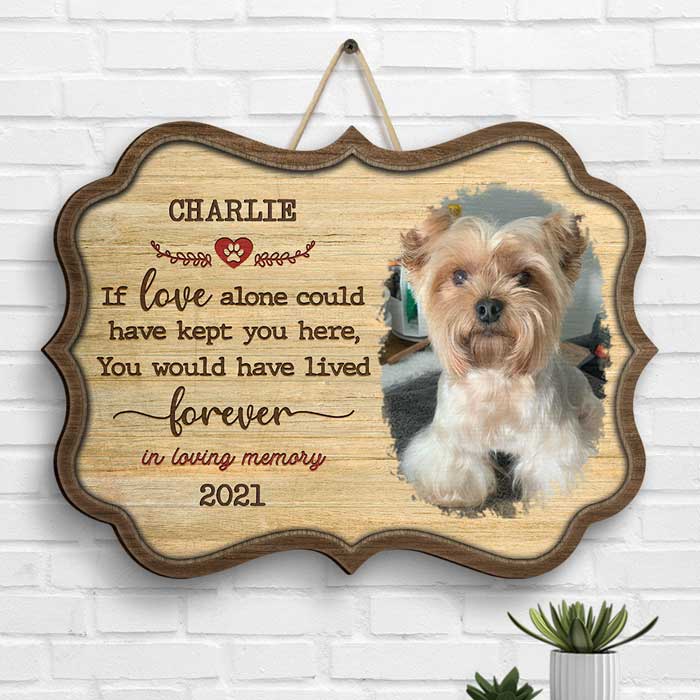 You Were My Favorite Hello And My Hardest Goodbye - Upload Image, Personalized Shaped Wood Sign.