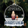 You Were My Favorite Hello And My Hardest Goodbye - Memorial Personalized Custom Ornament - Acrylic Snow Globe Shaped - Sympathy Gift, Christmas Gift For Pet Owners, Pet Lovers