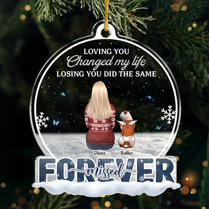 You Were My Favorite Hello And My Hardest Goodbye - Memorial Personalized Custom Ornament - Acrylic Snow Globe Shaped - Sympathy Gift, Christmas Gift For Pet Owners, Pet Lovers