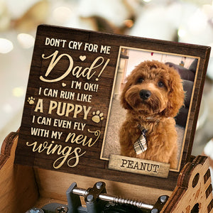 I Can Even Fly With My New Wings - Personalized Music Box - Upload Image, Gift For Pet Lovers