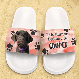 This Human Belongs To - Personalized Slide Sandals, Slippers - Upload Image, Gift For Pet Lovers