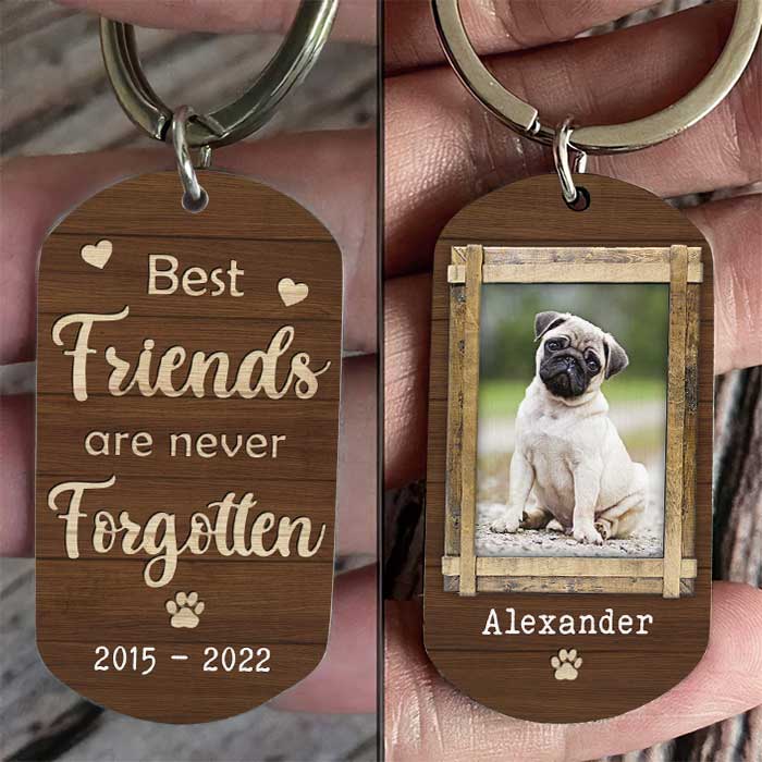 Best Friends Are Never Forgotten - Personalized Keychain - Upload Image, Gift For Pet Lovers