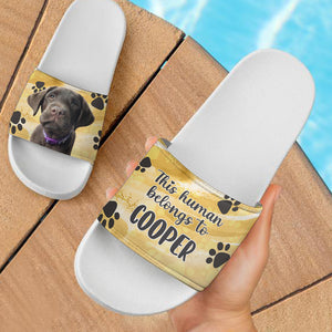 This Human Belongs To - Personalized Slide Sandals, Slippers - Upload Image, Gift For Pet Lovers