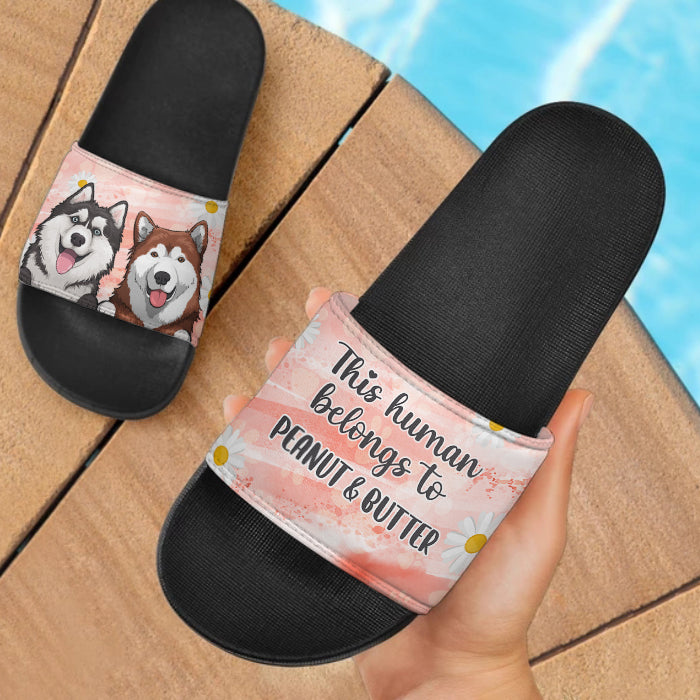 Cet humain appartient à - Sandales et chaussons personnalisés - Cadeau pour les amoureux des animaux