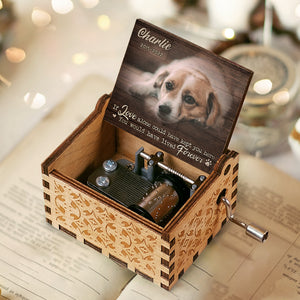 You Would Have Lived Forever - Personalized Music Box - Upload Image, Gift For Pet Lovers