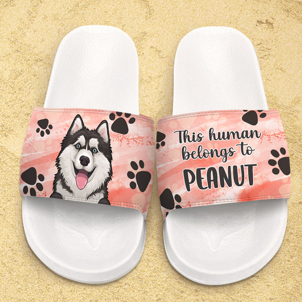 Dog slippers for online humans