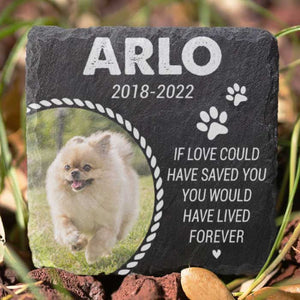 You Would Have Lived Forever - Personalized Memorial Stone - Upload Image, Memorial Gift, Sympathy Gift