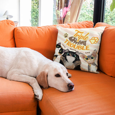 Trouble With My Cats - Funny Personalized Cat Pillow (Insert Included).