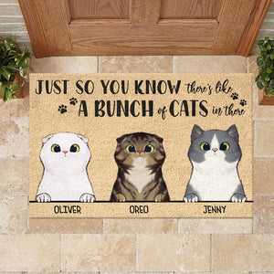 Just So You Know There's Like A Bunch Of Cats In There - Funny Personalized Cat Decorative Mat.