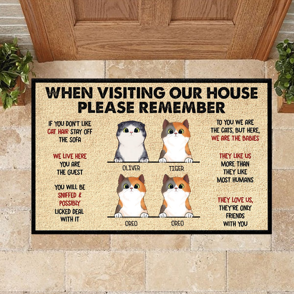 Keep In Mind When Visiting The House Cartoon Cat Welcome Doormats