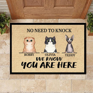 We Know You Are Here - Funny Personalized Cat Decorative Mat.