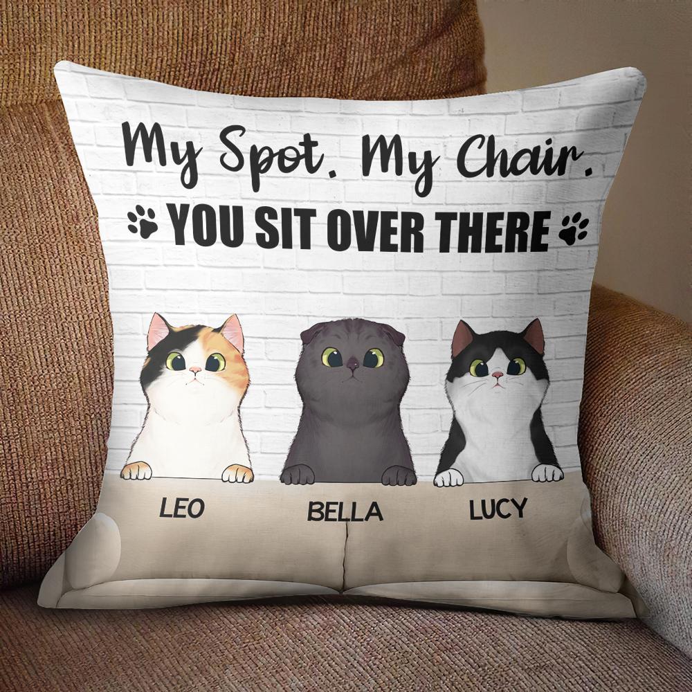 You Sit Over There - Funny Personalized Cat Pillow (Insert Included).