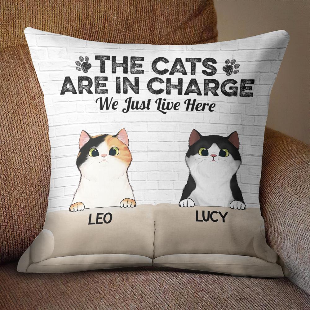 PILLOW INSERT INCLUDED Personalized Decorative Throw Pillow 