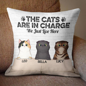 The Cats Are In Charge - Funny Personalized Cat Pillow (Insert Included).