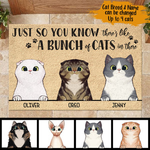 Just So You Know There's Like A Bunch Of Cats In There - Funny Personalized Cat Decorative Mat.