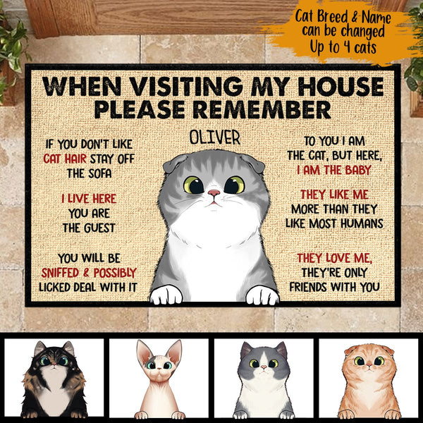 Keep In Mind When Visiting The House Cartoon Cat Welcome Doormats