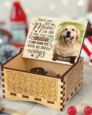 I Can Run With My New Wings - Personalized Music Box - Upload Image, Gift For Pet Lovers