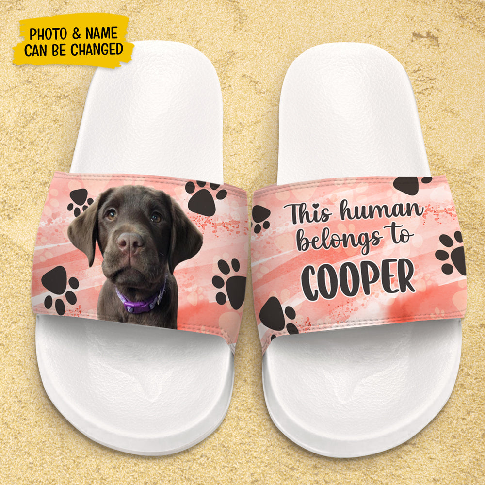 Dog slippers hotsell for humans